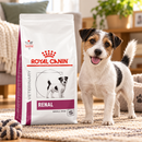 Ração Seca Royal Canin Renal para Cães Pequenos