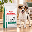 Ração Royal Canin Canine Satiety Support para Cães Adultos de Porte Pequeno